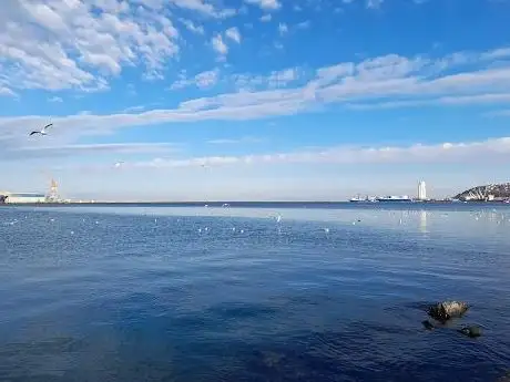 Photo de Samsun 1 gezi teknesi