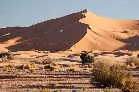 Photo de Safari Morocco