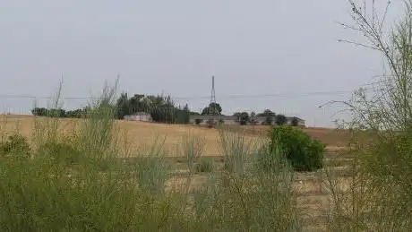 Photo de El Jacalito