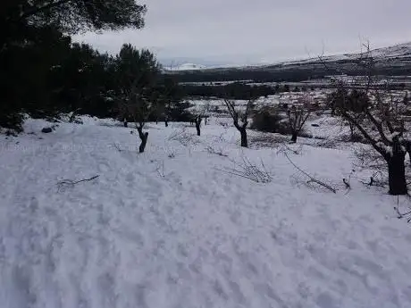 Photo de Camino Natural Turia - Cabriel