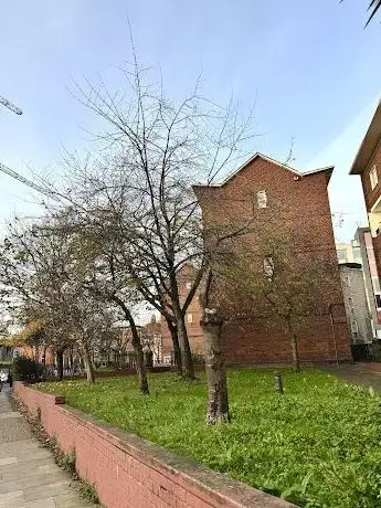 Photo de Public Trees