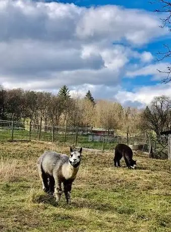 Photo de Wildgehege Markwasen