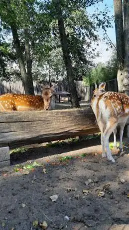Photo de Parc familial Harry Malter