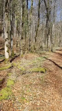 Photo de Hintelestal