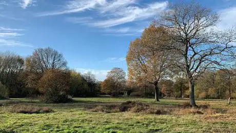 Photo de National Trust - Danbury Commons and Blakes Wood