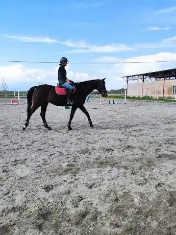 Photo de Scuderia Prato Basso A.S.D.