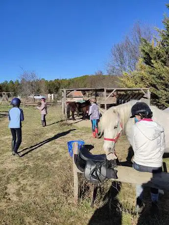Photo de Centre Equestre Les Colombiers