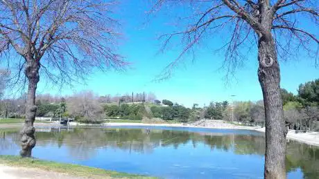 Photo de Parque Tierno Galván