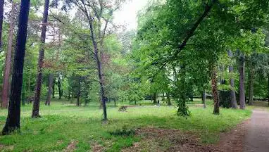 Photo de Essarts Woods