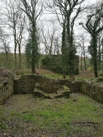 Photo de Blaenllynfi Castle