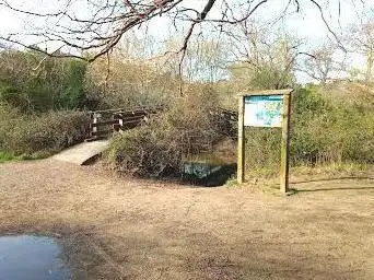 Photo de Pont l'anguillère