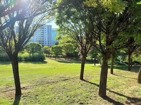 Photo de 30 Ağustos Zafer Parkı