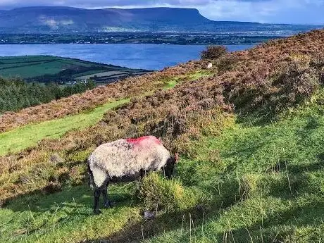 Photo de Knocknarea