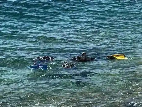 Photo de varadero dive