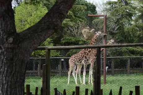 Photo de Animal Park Valcorba