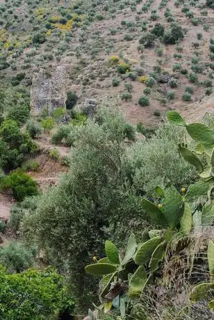 Photo de Castillo de Cárchel
