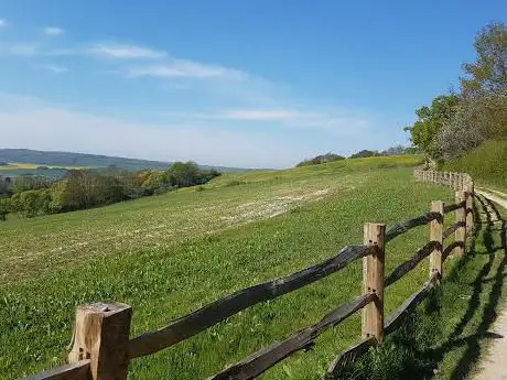 Foto de Plantlife Ranscombe Farm Nature Reserve
