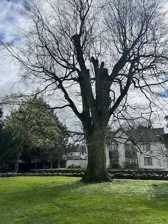 Photo de The People's Park