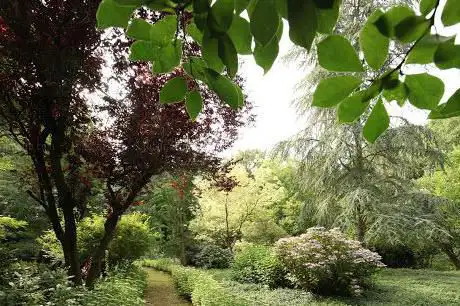 Photo de Landgoed de Hertgang
