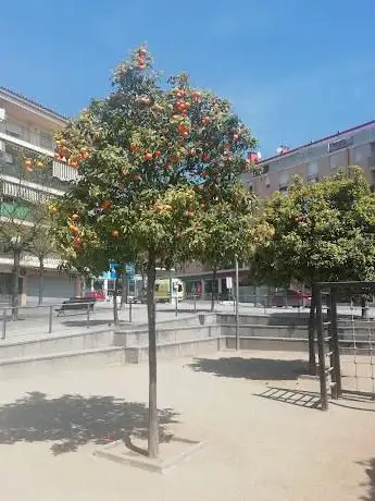 Photo de Plaça de les Roses