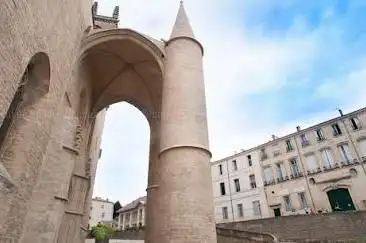 Photo de Paroisse Cathédrale Montpellier
