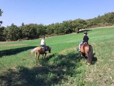 Photo de Centro di equitazione Marana