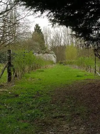 Photo de Windlesham Arboretum