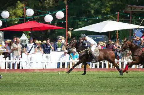 Photo de Geneva Polo Club