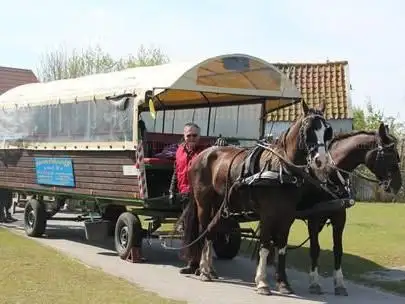 Photo de Kutsche borkum-reiten