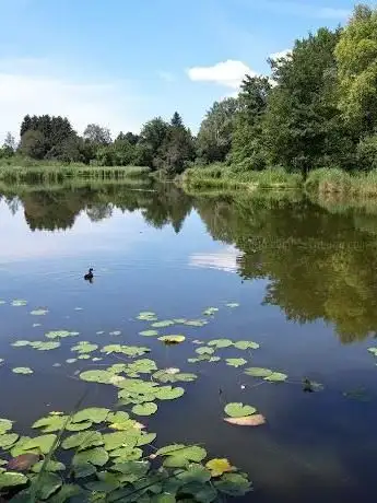 Photo of Märwiler Riet