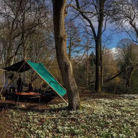 Photo de Tortworth Forest Centre & Arboretum