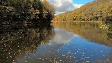 Photo de Zen Buddhist Monastery Kanshoji