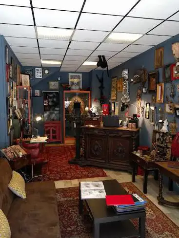 Photo de Le Cabinet Des Curiosités