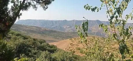 Photo de Şeyh Naccar Türbe ve Mezarlığı