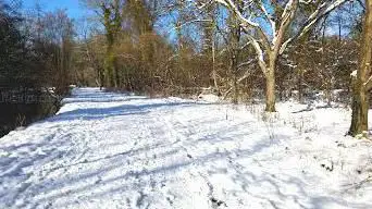 Photo de Parc Des Joncs Marins