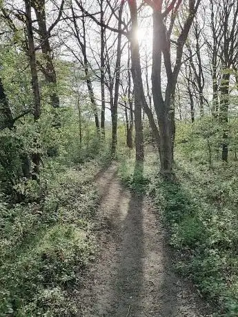 Photo de Woodridge Nature Reserve