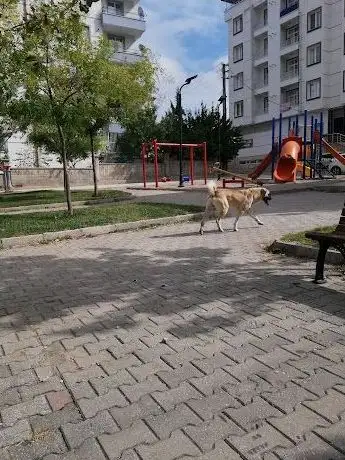 Photo de Çağataylar Parkı