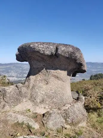 Photo de Brócoli Atios