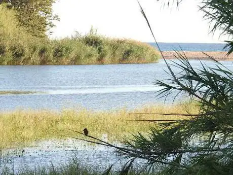 Photo de Observatori d'aus del Delta de la Tordera (nord)