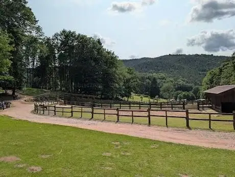 Foto de Südliche weinstraße wildlife park