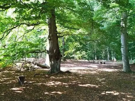Photo de Im Mörsbacher Grund von Darmstadt-Arheilgen