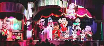 Photo de Niglo Show