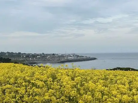 North Beach Greystones
