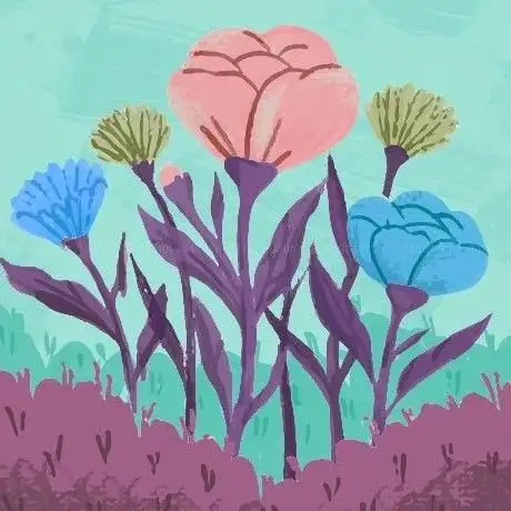 Photo de Miermanns Maislabyrinth