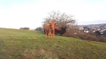 Photo de Habichtsweiden