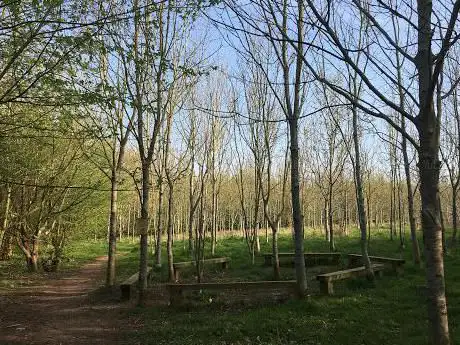 Photo de Frank's Wood