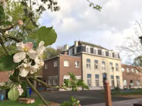 Photo de Wat Phra Dhammakaya Benelux