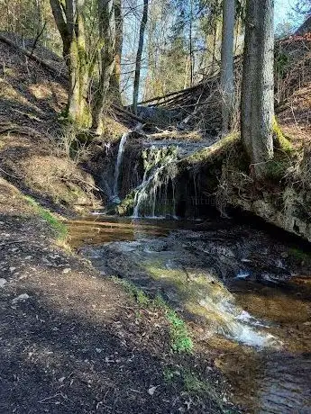 Photo de Kleiner idyllischer Wasserfall am Harnbach