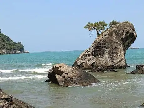 Photo de Bear Beach - inkum