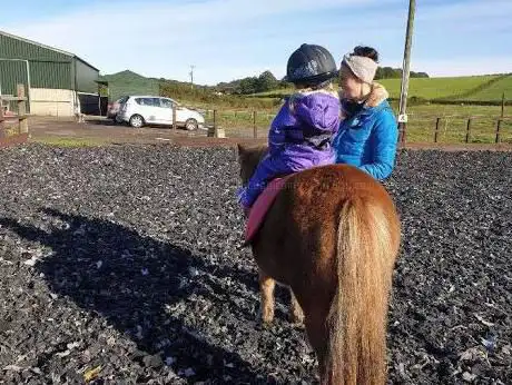 Photo de Pony Buddies
